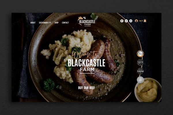 blackcastle website